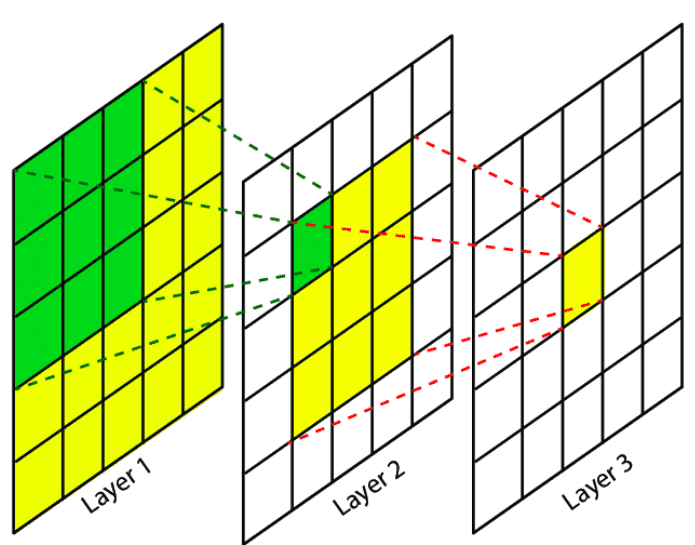 receptive-field